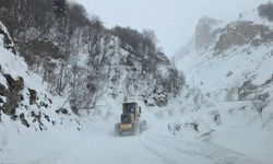 Artvin’de çığ düştü