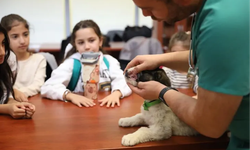 Bursa'da minik veterinerler görev başında