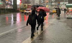 Bursalı çiftçinin yüzü gülüyor