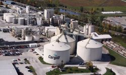 Cargill İznik Gölü'nü kurutuyor mu?