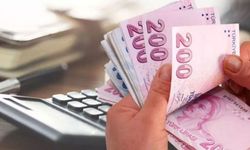 Vergi yüzsüzleri açıklandı