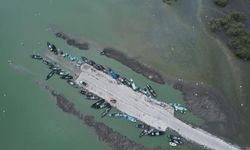 Karacabey'de çeltik ekimine yasak