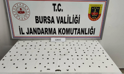 Bursa'da "Anadolu Mirası" operasyonu!