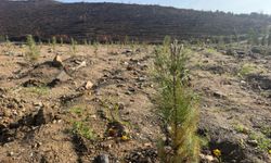 Çevreye duyarlı nesillerden Gürsu’ya can suyu