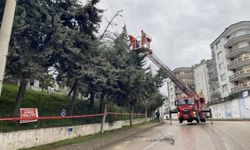 Bursa'da elektrik hatları zarar gördü