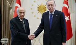 Erdoğan, Bahçeli ile görüşecek