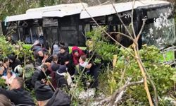 Belediye otobüsü şarampole devrildi!