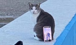 Sahilde gülümseten görüntü