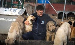 Mudanya Belediyesi 2025 raporunu açıkladı