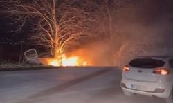 Ağaca çarpan otomobil alev aldı!