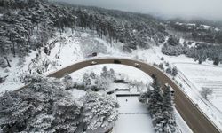 Uludağ'ın virajlarında görsel şölen