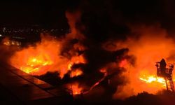 Bursa'da fabrika kül oldu!