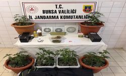 Evinden uyuşturucu serası çıktı