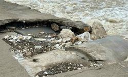 Bursa’da büyük tehlike saçıyor!