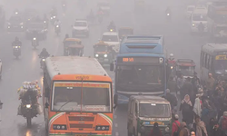 Nipah virüsü Türkiye’ye gelir mi?