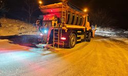 Osmangazi’de kar mesaisi