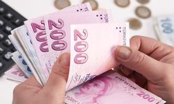 BES'te devlet katkı payı düşürüldü