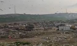 Büyükşehir Belediyesi'ne Bakanlık'tan ceza!