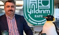 O penguen Bursa'ya uğradı!