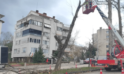 Büyükşehir'den lodos mesaisi