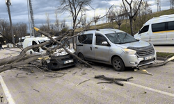 Bursa'da facianın eşiğinden dönüldü!