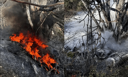 Yangın paniğe neden oldu!