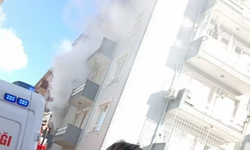 Bursa'da kahreden ölüm