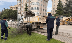 Osmangazi'de devrilen ağaçlara müdahale
