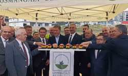 Demirtaş’a kapalı pazar alanı