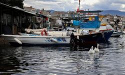 Büyükşehir’den üreticiye mazot desteği