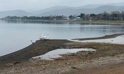 İznik Gölü alarm veriyor