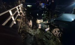 Bursa’da kafa kafaya kaza!