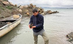 İznik Gölü'nde balıkçıların ağına takıldı!