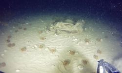 Kayıp "Bursa" uçağına ait yeni izler!