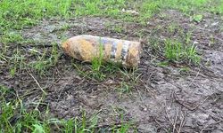 Piknikte buldu, günlerce sakladı!