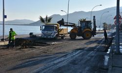 Fırtınanın ardından temizlik başladı