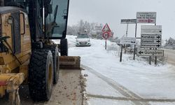 Nilüfer'de yoğun kar mesaisi