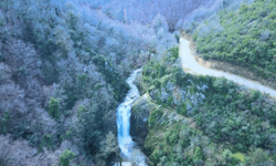 Sudüşen Şelalesi hayat buldu