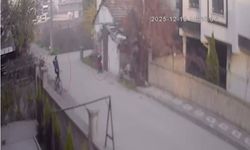 Bebek arabasından milyonluk vurgun