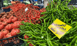 Seraları su bastı, fiyatlar uçtu