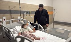 Yalova'da 'gürültü' dehşeti!