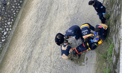 Bursa’da derede can pazarı