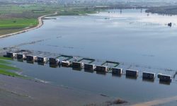 Bungalovlar sular altında kaldı