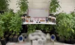 Bursa'da jandarmadan baskın!