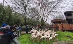 Doğa dedektifleri iz peşinde