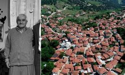 Ormanda avcı kurşunuyla vuruldu!