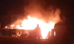 Bursa'da çiftlik yangını!