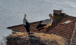 Leylek Köyünde hasret bitti