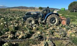 Yüzlerce dönüm ürün çöp oldu!
