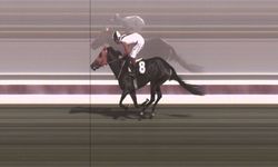 Şampiyon yarış atını kavurma yaptılar!